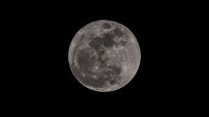 Octubre nos sorprende con una espectacular Luna llena; usuarios se volcaron a las redes a publicar fotos