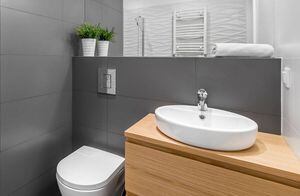 Ideas básicas para ganar más espacio en los baños pequeños