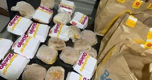 Entediado com a quarentena, garoto de 5 anos pede R$ 225 em hambúrguer pelo celular da mãe