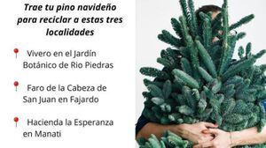 Lugares para reciclar tu árbol navideño