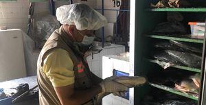 Autoridades vallecaucanas dan pautas para evitar intoxicaciones por consumo de pescado en Semana Santa