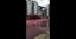 Vídeo: Tanque de vinho explode e derrama mais de 50 mil litros de bebida; veja o momento