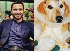 “No quiero perderla”: Álvaro Ballero se encuentra muy afectado tras complicada salud de su perrita