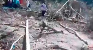 Revelan cómo quedó el campamento guerrillero donde murieron 8 niños