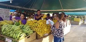 Cadena de supermercados respalda restablecimiento de Mercados Familiares
