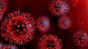 Coronavirus: ¿por qué la enfermedad se expande tan rápido? ¿Cómo se puede aplanar la curva de crecimiento?