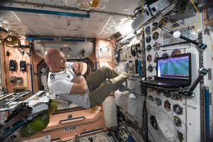 La gravedad cero hace que la sangre fluya hacia atrás: otro peligro para los viajeros al espacio