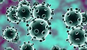 Coronavirus: hombre en Hong Kong sufrió un segundo contagio de covid-19