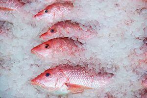 6 claves para saber si nos venden el pescado fresco