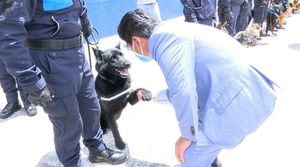 ¿Cómo adoptar un perrito jubilado del Cuerpo de Agentes de Control Metropolitano de Quito?