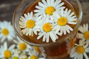 7 beneficios del té de manzanilla pocos conocidos que lo convertirán en tu favorito