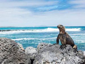 Ecuador y NatGeo crean un fondo para conservar las Galápagos