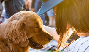 Así es cómo tu perro puede sanar la tristeza en tu corazón
