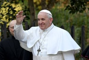 El mensaje del papa Francisco por los graves incendios en la Amazonía