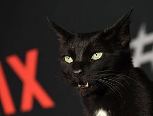 Reacciones tras estreno de Sabrina en Netflix: ¡Salem no habla!