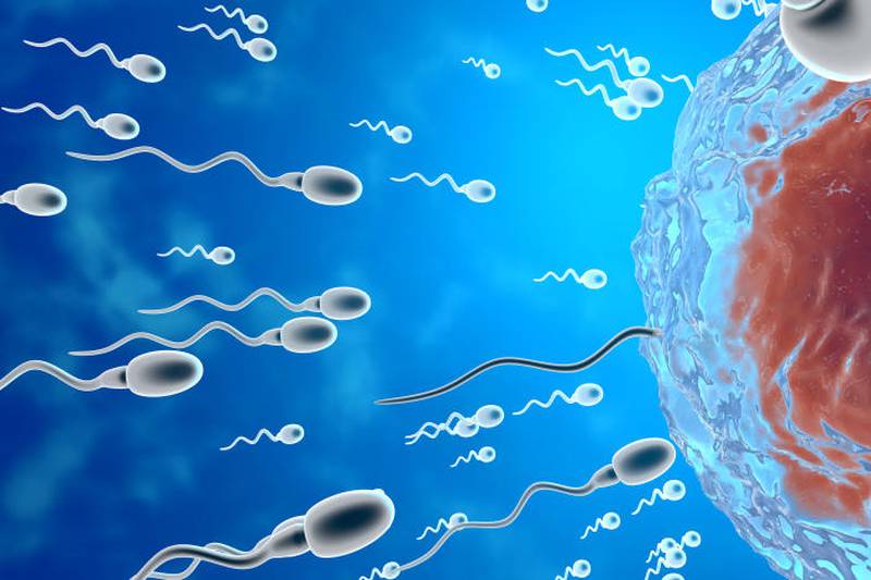 La capacidad reproductiva de los hombres ha disminuido drásticamente en las últimas décadas.| Foto: Getty Images