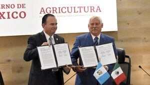Guatemala y México acuerdan apertura comercial de ganado bovino