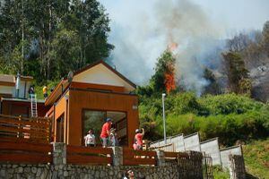 Incendios forestales consumen más de 1.280 hectáreas en Región del Biobío