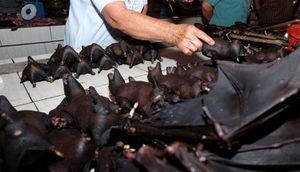 En Indonesia todavía se venden murciélagos desafiando al COVID-19