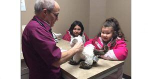 Menina autista leva gato de pelúcia doente para veterinário e ele receita 'amor e carinho'