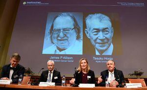 El Nobel de Medicina premia la inmunoterapia contra el cáncer
