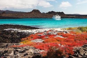 Prohíben el uso de pirotecnia con ruido en Galápagos