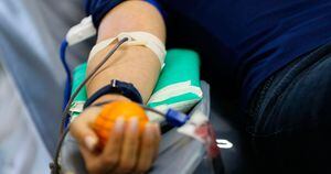 Banco de Sangue de São Paulo pede doações dos tipos sanguíneos O e A
