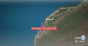 Idosa é atacada por tubarão em praia no Havaí