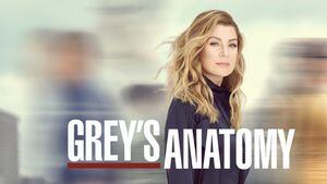 Grey’s Anatomy: Data de estreia da 16ª temporada no Brasil é confirmada e fãs devem se preparar para 3 novidades