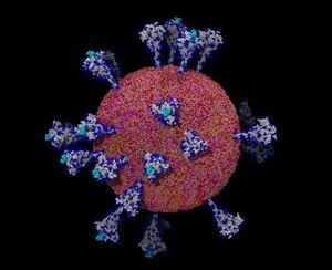 Este es el retrato más detallado y avanzado del coronavirus