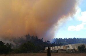 La Araucanía: Onemi solicitó evacuar Villa Esmeralda por el peligro de un gran incendio forestal en desarrollo