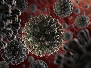 Todo lo que necesitas saber sobre el nuevo coronavirus COVID-19