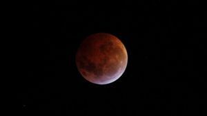 Eclipse lunar fascina a los observadores y astrónomos