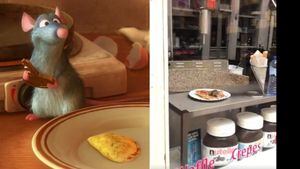 Vídeo de rato comendo crepe em café se torna viral e estabelecimento é fechado