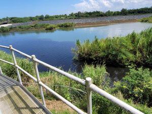 Aguas residuales impactan el río La Plata y áreas de Dorado por construcción de la AAA
