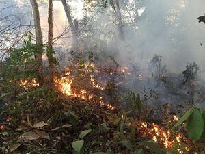 Ecuador enviará brigadas para combatir incendios en la Amazonía