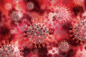 La OMS tiene en su radar una nueva variante del virus identificada en India