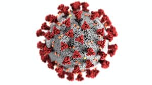 El punto débil del coronavirus que permitiría bloquearle el ingreso al cuerpo humano