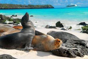 Galápagos: Ecuador protegerá a sus Islas Encantadas del coronavirus