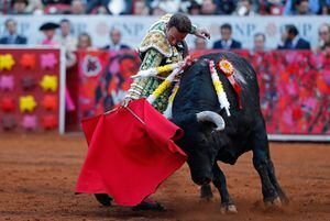Congreso de la CDMX escucha a taurinos: prohibir corridas de toros ‘sacrificaría’ 30 mil empleos