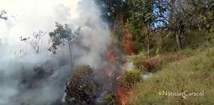 No solo el Amazonas: incendios también consumen municipios del Cauca