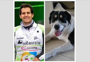Condenan a expiloto del Dakar por asesinar a un perro en Bogotá