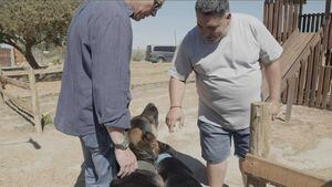 Rodrigo Villegas y sus 18 perros: "Comen 200 kilos mensuales de alimento"