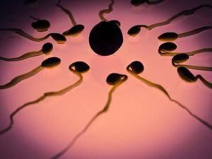 Cinco señales de tu cuerpo que confirman que estás ovulando y puedes quedar embarazada