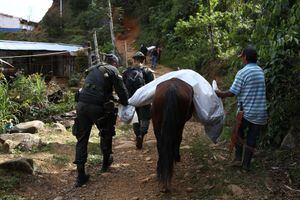 En menos de 48 horas perpetraron dos masacres en Córdoba