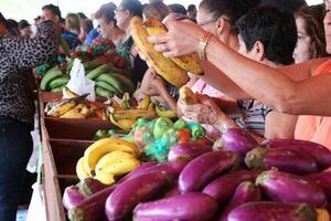 Calendario de eventos y actividades del popular ‘’Mercado Familiar’’ del PAN