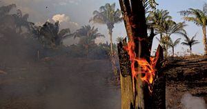 Na mira do governo, dinheiro europeu é usado no combate ao fogo na Amazônia
