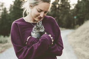 4 increíbles beneficios de tener un gato, te cambiará la vida