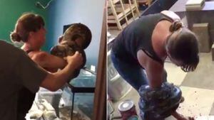 Vídeo mostra píton de estimação atacando e se enrolando em mulher num piscar de olhos