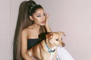 Ariana Grande presenta a su nueva mascota y ahora suma 13 perritos